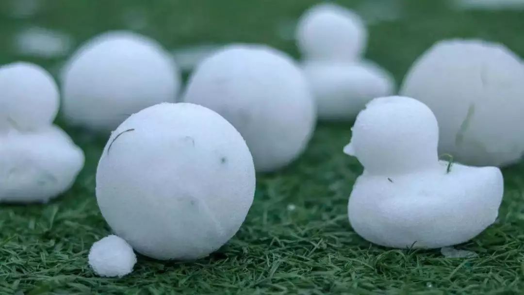 北京的第二场雪 |20位刚出道的雪宝宝等待小饺子们的认领！