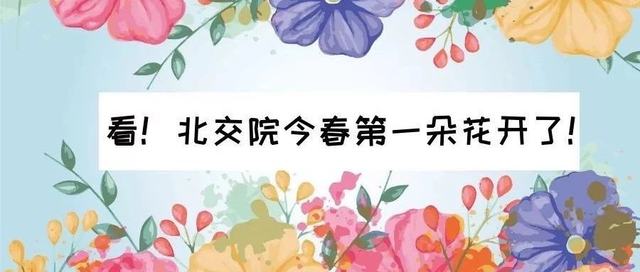 走～集合！我带你们去beat365英国官方网站看校花！